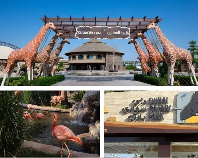 Safari Journey in Dubai Safari Park